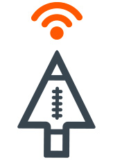 Sportsbook